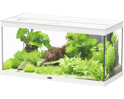 Fischfutter Verkaufs-Shop -Fischfutter Verkaufs-Shop DV 8 10065279 01 4c DE 20190510051801