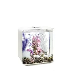 BiOrb Decor Set 30L -Fischfutter Verkaufs-Shop biorb deco pinkocean 30 4