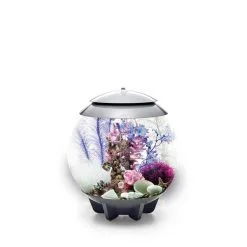 BiOrb Decor Set 30L -Fischfutter Verkaufs-Shop biorb deco pinkocean 30 5