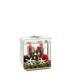 BiOrb Decor Set 15L -Fischfutter Verkaufs-Shop biorb deco redforrest 15 4