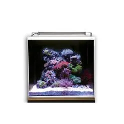 Dupla Marin Meerwasseraquarium Ocean Cube 50 Set -Fischfutter Verkaufs-Shop dupla marin meerwasseraquarium ocean cube 50 set 5tE4lemMMniTDO