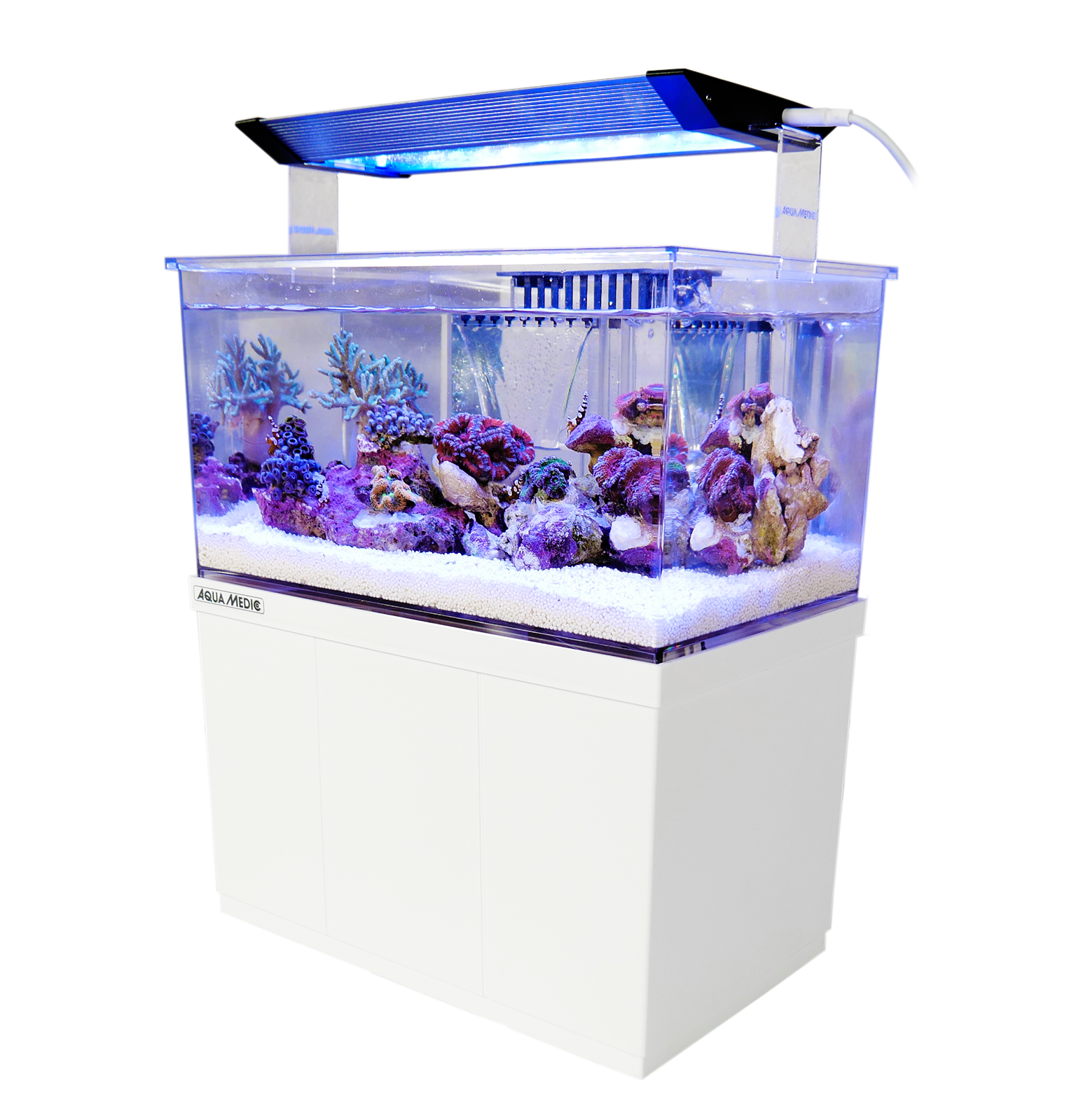 Fischfutter Verkaufs-Shop -Fischfutter Verkaufs-Shop h ArmatusXS 16638537441 3