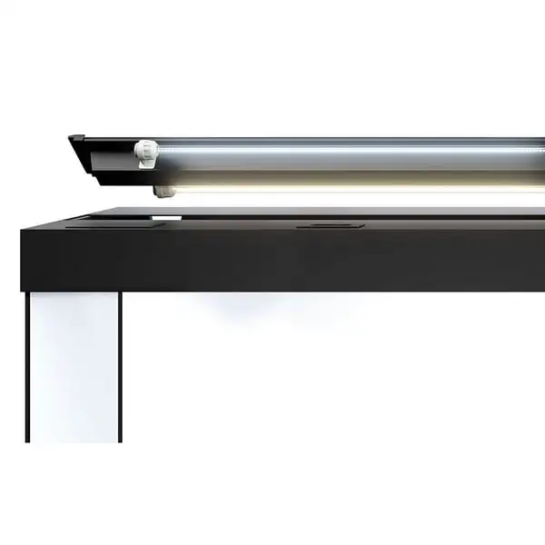 Juwel Rio 240 LED Komplett Aquarium Mit Unterschrank SBX 5 Juwel Rio 240 LED Komplett Aquarium Mit Unterschrank SBX – Bild 5
