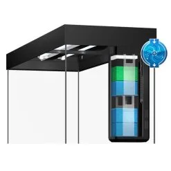 Juwel Rio 240 LED Komplett Aquarium Mit Unterschrank SBX 8 Juwel Rio 240 LED Komplett Aquarium Mit Unterschrank SBX -Fischfutter Verkaufs-Shop juwel aquarium rio 240 180 125 filter detail 158fefff3658f6