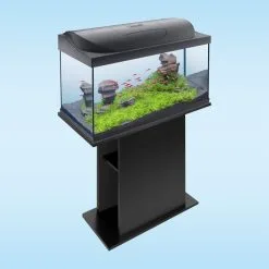 Tetra Starter Line LED Aquarium 105L -Fischfutter Verkaufs-Shop tetra starterline led 105l 5NyikdpFD1xGcv